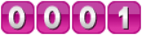 contador para web