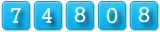 website counters