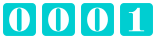 website counter