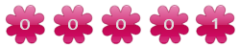 free website counter code
